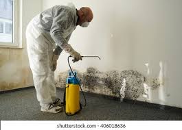 Best Mold Remediation for Healthcare Facilities  in Springville, NY